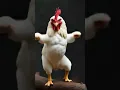 Download Lagu ayam putih berjoget joget lucu #cat #funny #shotrs #ayamberkokok