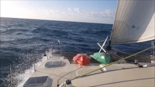 Sailing into Freedom   Episode 45 Plukky & the Italian crew sail south to Lady Musgrave