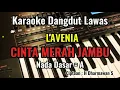Download Lagu CINTA MERAH JAMBU [ LAVENIA ] KARAOKE DANGDUT LAWAS || NADA DASAR = A