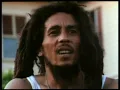 Bob Marley - Jammin '77 (Remix)