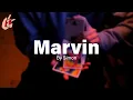 Lagu Marvin by Simon Hong - Cardistry Demo