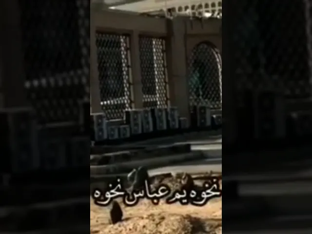 ⁣#ستوريات_انستا  ذكرى وفاة السيدة ام البنين عليها السلام