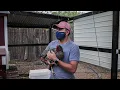 The BEST LOCAL FARM in Albuquerque