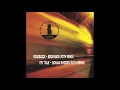It's True - Donna Rhoden (FOTH Jungle Drum & Bass Remix)