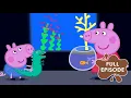 Peppa Pig Goes To The Aquarium Cartoons for Kids Full Episode Peppa Pig s