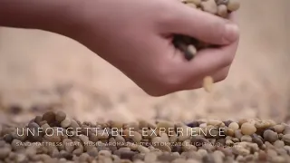 PANACEA professional bed harnesses therapeutic properties of heat combined with quartz sand grains