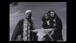 مواقف وطرائف السينما المصرية حريقة أرضنا الخضراء 