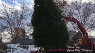 Basking Ridge Christmas Tree Being Put Up