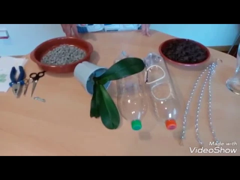 CÓMO PLANTAR UNA ORQUÍDEA EN UNA BOTELLA DE PLÁSTICO
