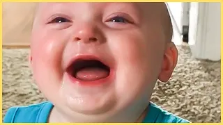 best baby laughing video compilation ever 