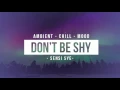 Sensi Sye - Don't Be Shy / Ambient - Chill - Mood