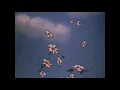 Deko - Midnight Tokyo (slowed + reverb)