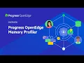 Progress OpenEdge Memory Profiler