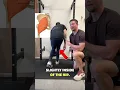 Download Lagu How To Get The BEST Glute Activation - Explained in 10 Seconds  #glutes #glutesworkout #fitness