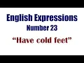 English Expressions 23 Have cold feet