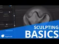 forger iOS - Sculpting - Basics