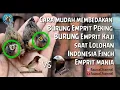 Download Lagu 100% Cara membedakan Emprit Jawa dan Emprit Peking dari Kecil/Lolohan Jantan/Betina