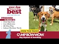 See What All The Bark Is About at Camp Bow Wow Oak Creek
