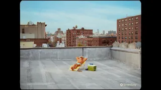 Roof Lounger Long Live NY StreetEasy 2026 Brand Campaign