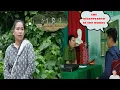 Download Lagu Hoai Ca found his way home. Hung decided to seek help from the police. #lyhoaica