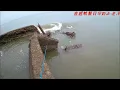 Download Lagu 2025.07.12【好久沒出門釣魚了  大潮水去釣看看   這個角落很穩】黑鯛要多大才能抓  想吃就抓  能放回就放回  最重要是垃圾不要亂丟喔