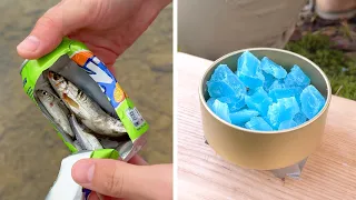 A Collection of the Best Lifehacks for Surviving in the Forest and Camping