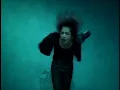 L'Arc-en-Ciel「flower」-Music Clip-