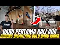 Download Lagu PERTAMA KALI ADA‼️ TROBOSAN BARU BURUNG DIGANTANG DULU BARU KIRIM‼️BONUS SEGUDANG🔥 ADA SEKOLAH MURAI
