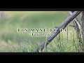 Download Lagu BIN MANÉ BO TA - Tania Isenia (Cover)