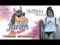 Download Lagu Intan Chacha - Jaran Mesem | Dangdut [OFFICIAL]