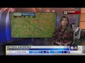 Alyssa Andrews Weather Traffic - CBS4 This Morning 1-5-22 545