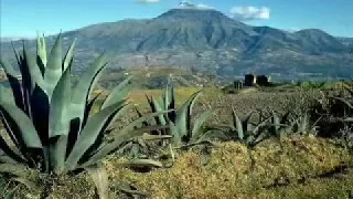 subhanallah alhamdulillah abdul latif bangla hamd 