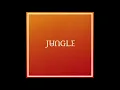 I've Been In Love - Jungle feat. Channel Tres