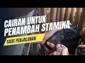 Download Lagu Rahasia tambahan energi buat ternak yang mau perjalanan panjang