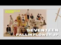 Download Lagu [SSP] Seventeen - Fallin Flower (Japanese version)