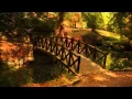 Friso Incredible Journey (Full Song)