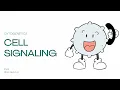 Cell Signaling An Overview