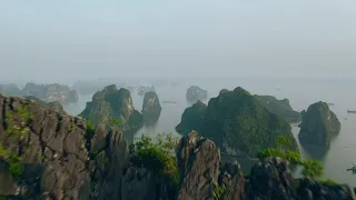 سورة الزمر المعيقلي مع فيديو طبيعة 4K جودة عالية 