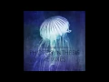 Carbon Based Lifeforms - Photosynthesis Remixes | Full EP