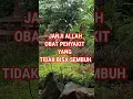 Download Lagu CARA CEPAT SEMBUHKAN PENYAKIT BERAT #dzikir #doamustajab #feedshorts