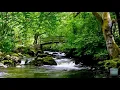 Nurture with Relaxing music 🎵🎵