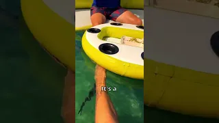 Swim-up taco bar! Food floats to you!