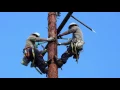 Aspiring Linemen at FirstEnergy Discuss their Training Experience