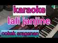 Download Lagu Karaoke cokek lali janjine#lali janjine versi cokek sragenan tanpa vokal