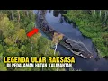 Download Lagu 3 Ular Raksasa yang Dipercaya Benar Ada di Pedalaman Hutan Kalimantan? MP3