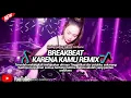 Download Lagu BREAKBEAT KARENA KAMU || DJ TERUSLAH MELANGKAH MELUPAKAN DIRINYA