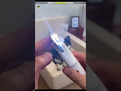 The Safest Way to Trim Your Dog's Nails