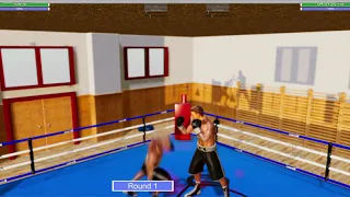 Unity Boxing Game Project
