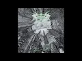 Vektor - Tetrastructural Minds (Official Audio)