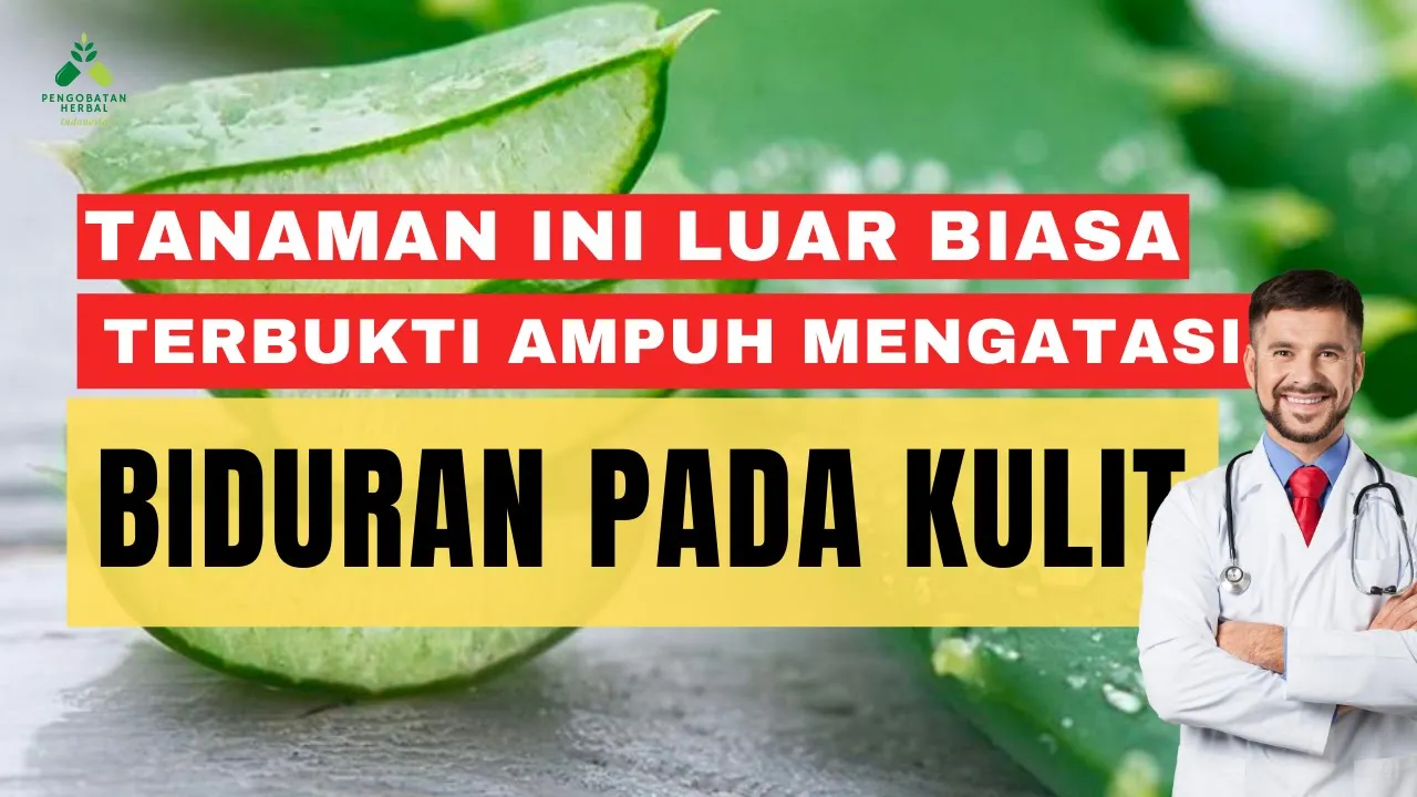 ATASI BIDURAN DENGAN OBAT ALAMI π΄ OBAT TRADSIONAL UNTUK GATAL GATAL PADA TUBUH ATASI BIDURAN DENGAN OBAT ALAMI π΄ OBAT TRADSIONAL UNTUK GATAL GATAL PADA TUBUH